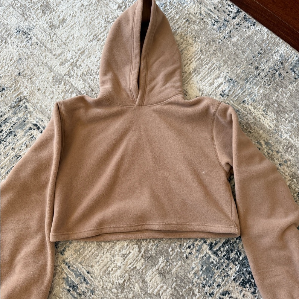 Aritzia TNA Polar Hoodie